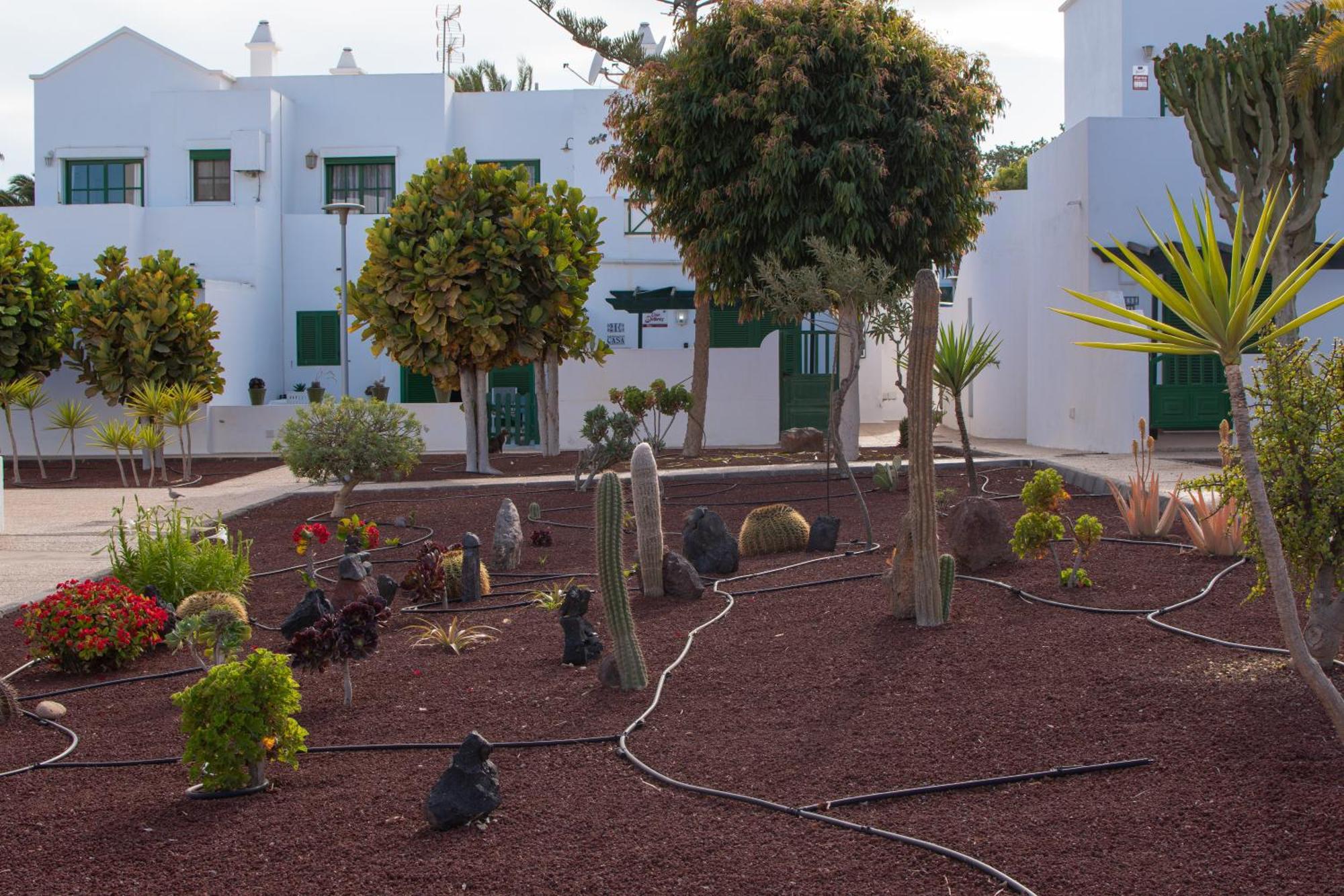 Casa Paz - Cozy 2 Bedroom Apartment Close To Dorada Beach Playa Blanca  Eksteriør billede